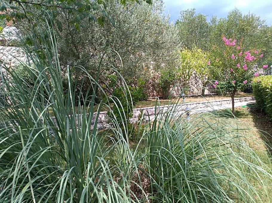 Apartment Mediterranean Garden Rijeka Luaran gambar